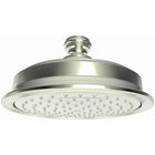 Polished Nickel