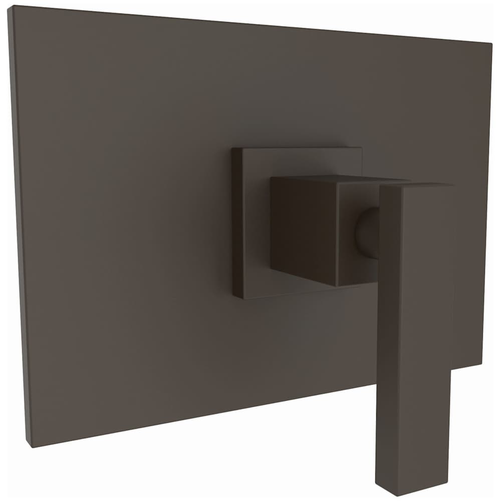 Shower Trim Package with Single Function Shower Head from the Secant Collection
