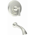 Polished Nickel