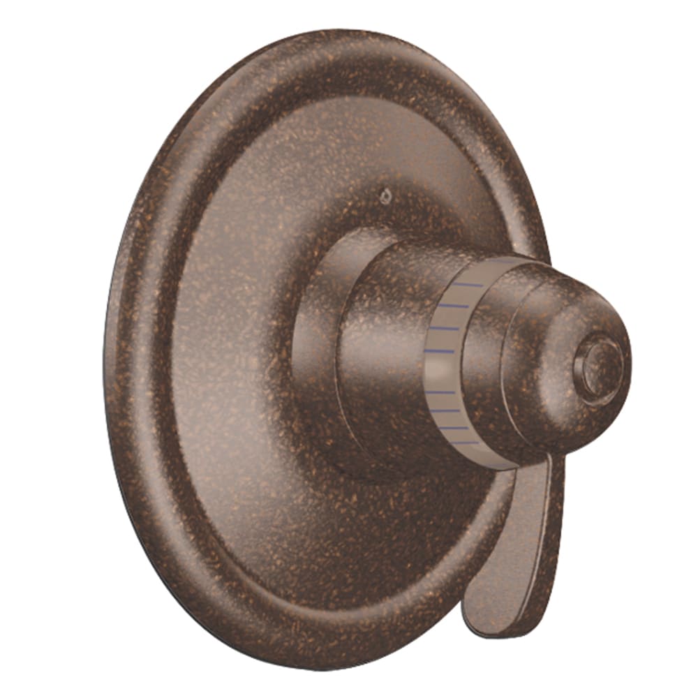 Moen 1.75 GPM Single Function Eco-Performance Hand Shower Package with Adjustable Slide Bar and Hose Brushed Gold