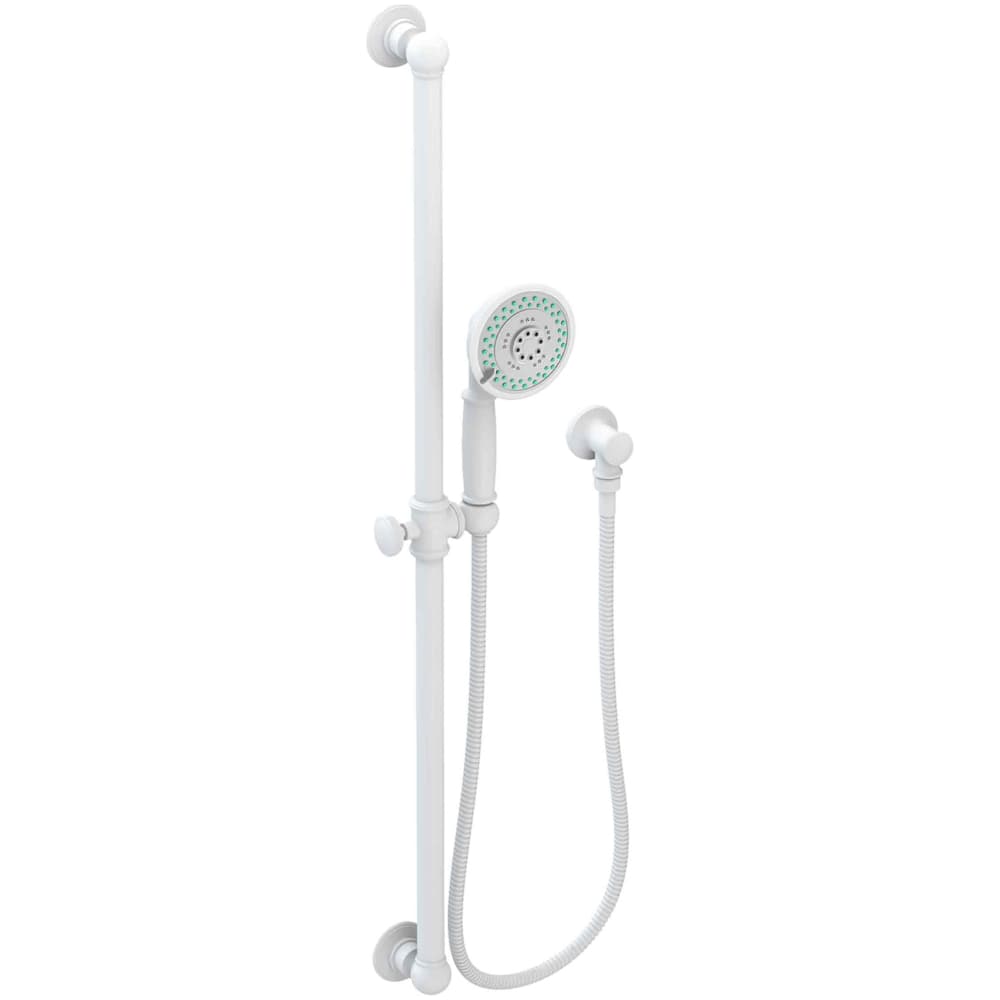 Ithaca Multi-Function Hand Shower Package with Slide Bar, Hose and Wall Supply Included