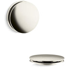 Vibrant Polished Nickel