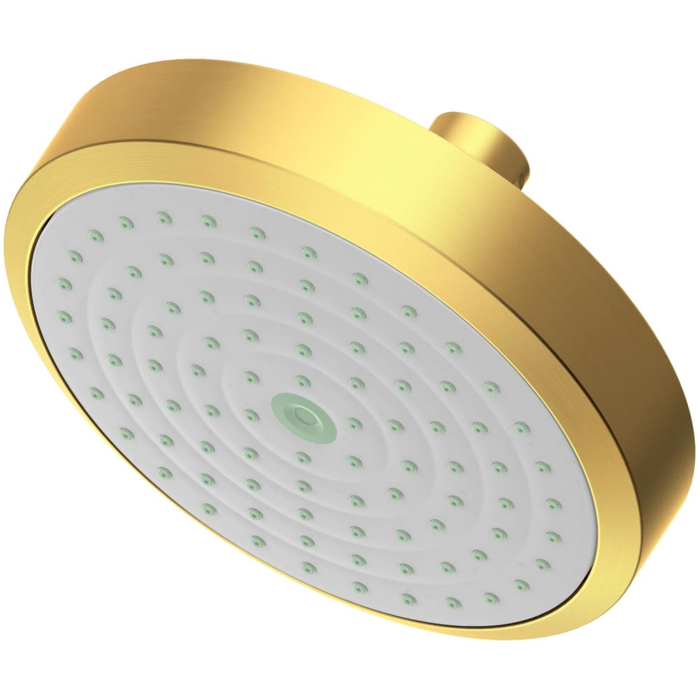 Tub and Shower 1.8 GPM Single Function Rain Shower Head