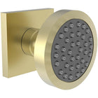 Satin Brass