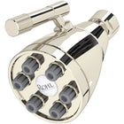 Polished Nickel