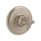 Vibrant Brushed Bronze