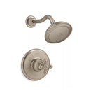 Vibrant Brushed Bronze