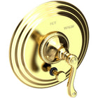 Uncoated Polished Brass