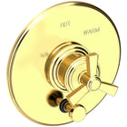 Uncoated Polished Brass