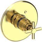 Uncoated Polished Brass