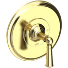 Uncoated Polished Brass