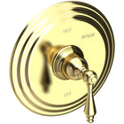 Uncoated Polished Brass