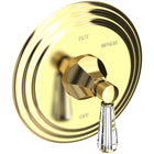 Uncoated Polished Brass