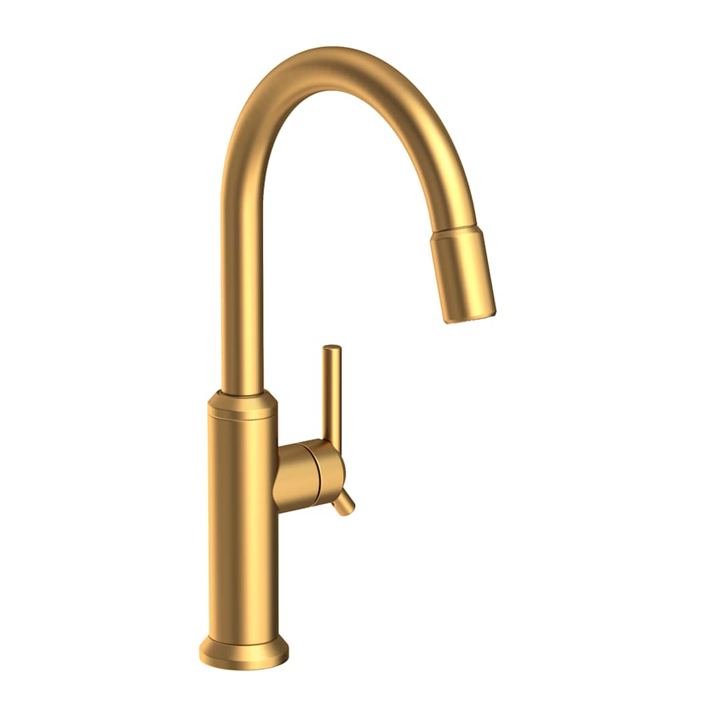 Jeter 1.8 GPM Single Hole Pull Down Kitchen Faucet