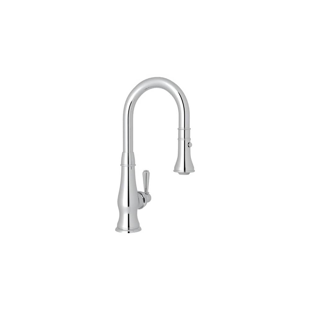 Patrizia 1.8 GPM Single Hole Pull Down Bar Faucet