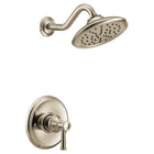 Polished Nickel
