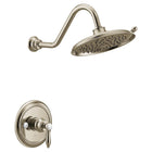 Polished Nickel