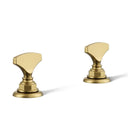 Vibrant Brushed Moderne Brass