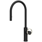 Matte Black / Polished Nickel