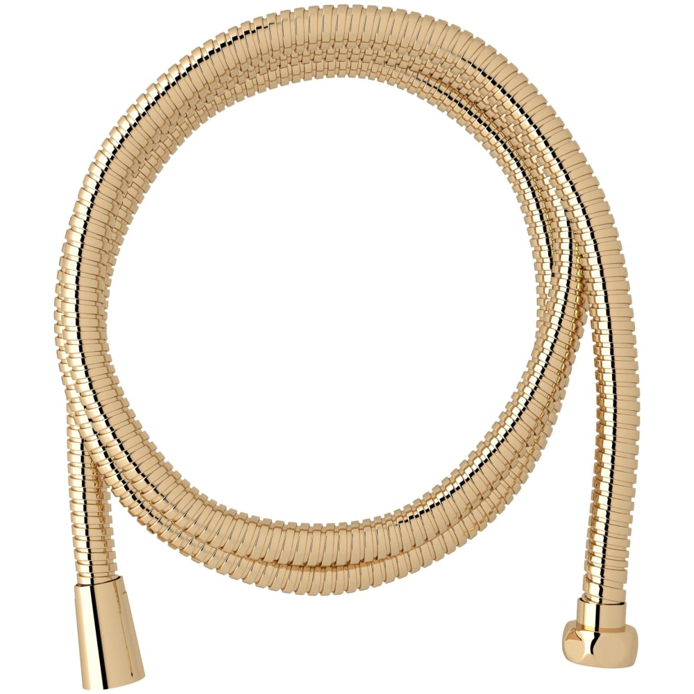 58" Flexible Shower Hose