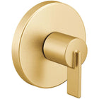 Brushed Gold