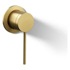 Vibrant Brushed Moderne Brass
