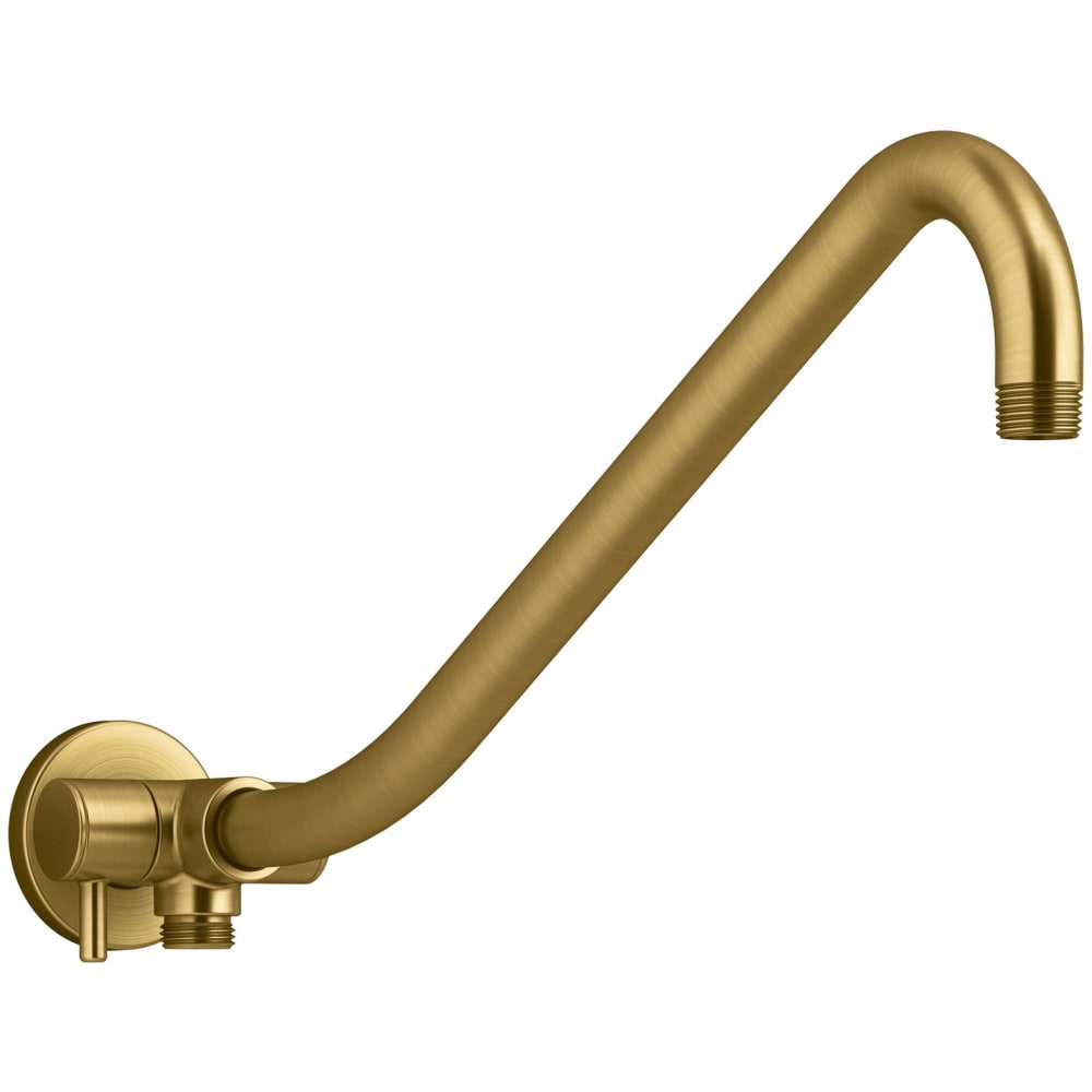 Gooseneck Rainhead Arm with 2-way Diverter