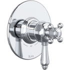 Polished Chrome