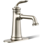 Vibrant Brushed Nickel