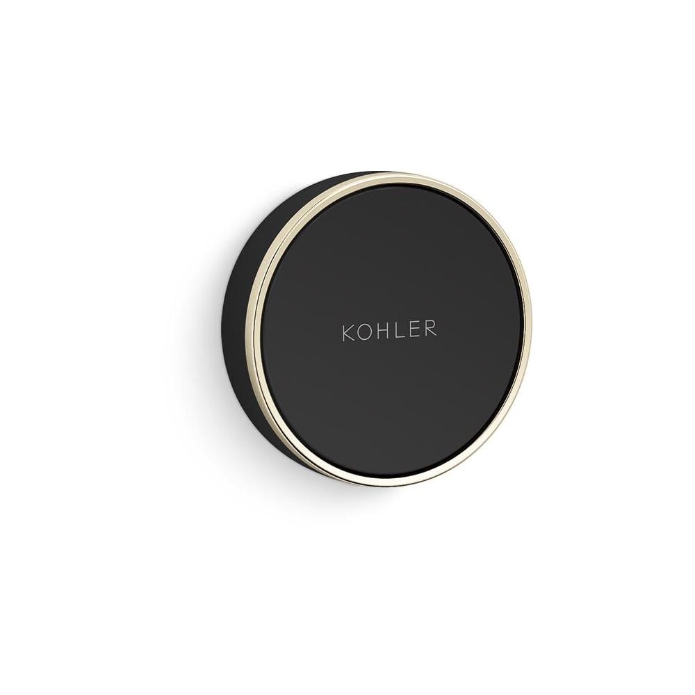 Anthem Digital Shower Controller