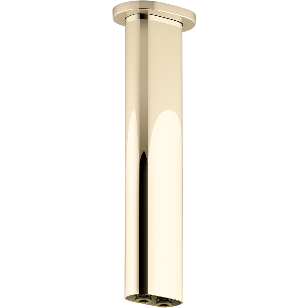 Statement 10" Ceiling Mounted Two Function Rainhead Arm and Flange