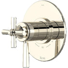 Polished Nickel