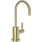 Uncoated Polished Brass