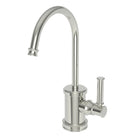 Polished Nickel