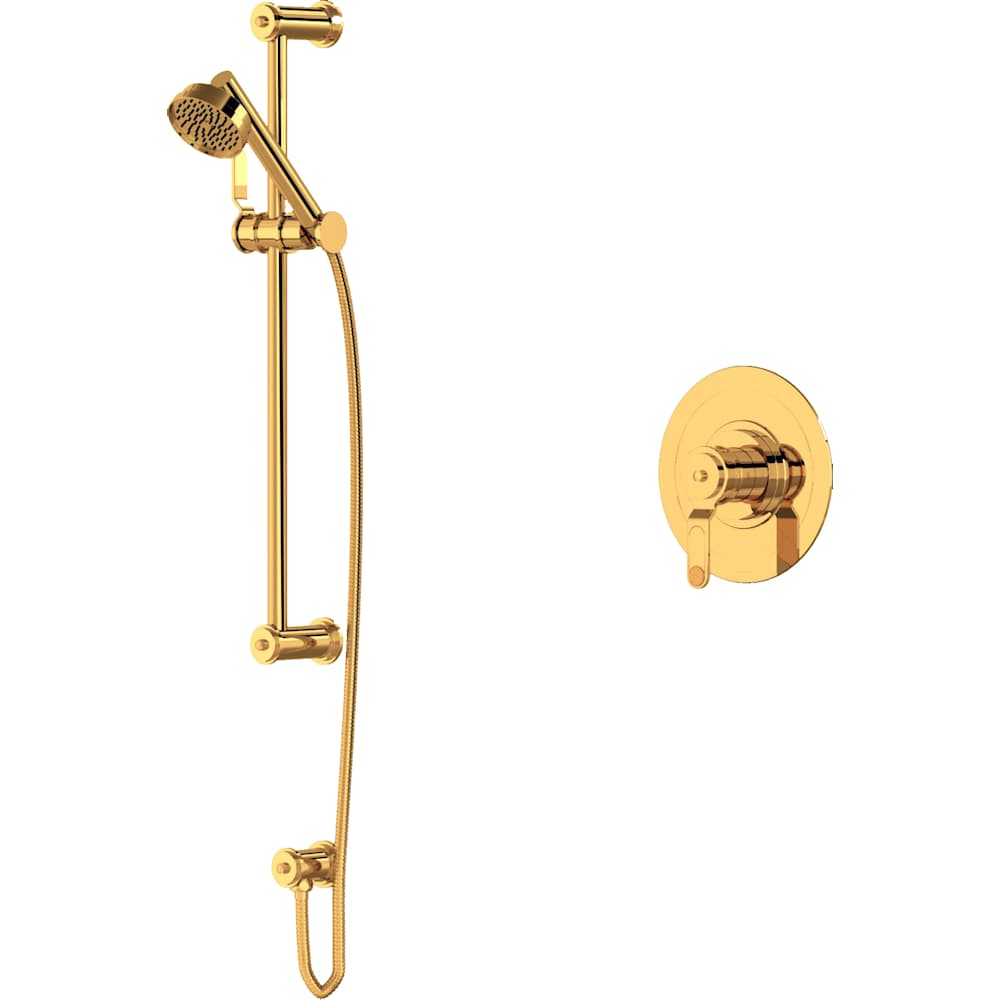 Armstrong Pressure Balanced Shower System with Hand Shower, Slide Bar, Hose, and Valve Trim