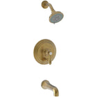 English Bronze