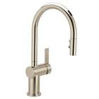 Polished Nickel