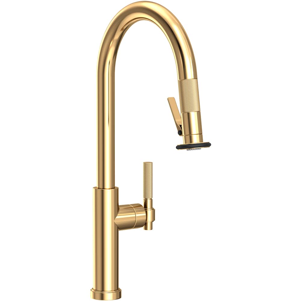 Muncy 1.8 GPM Single Hole Pull Down Kitchen Faucet with Knurled Lever Handle