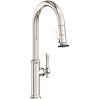 Polished Nickel