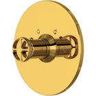 Unlacquered Brass
