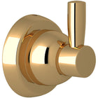 Unlacquered Brass