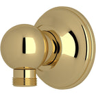 Unlacquered Brass