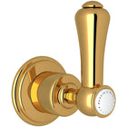 Unlacquered Brass