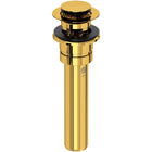 Unlacquered Brass