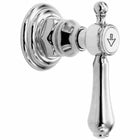 Polished Chrome