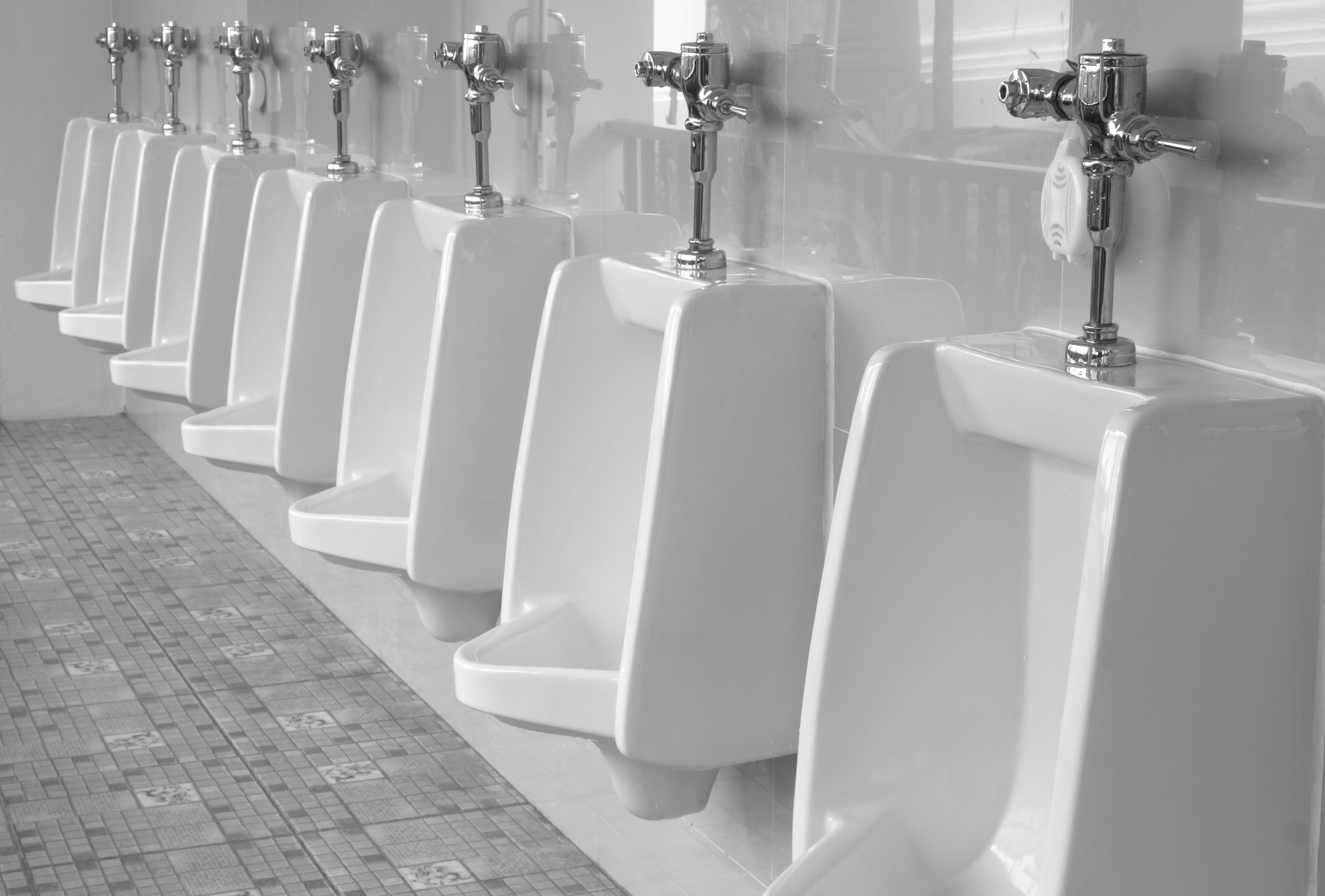 Flushometers