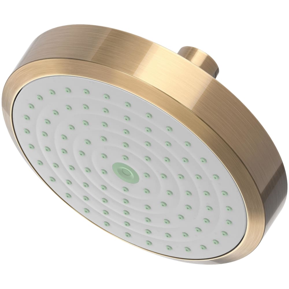 Tub and Shower 1.8 GPM Single Function Rain Shower Head