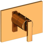Polished Gold