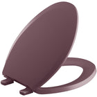 Raspberry Puree 