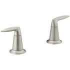 Vibrant Brushed Nickel